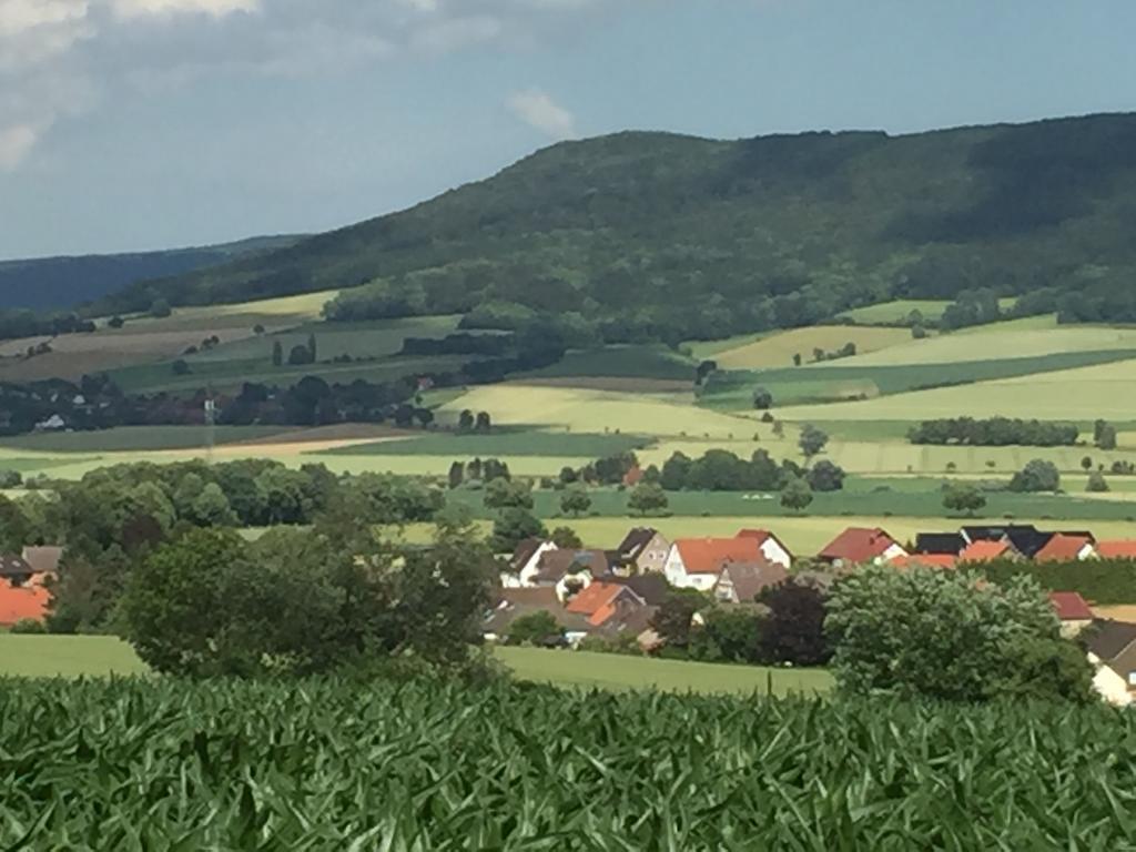Gaestehaus White Horse Diedersen Coppenbrügge 외부 사진